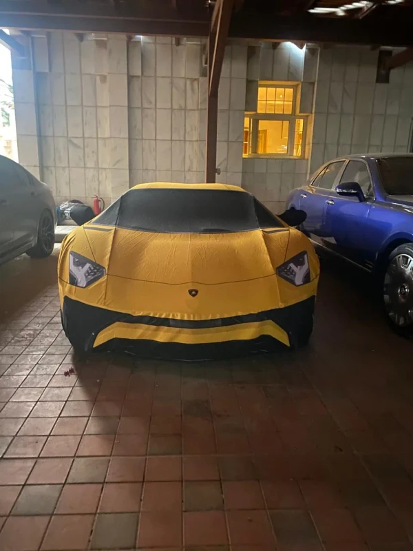 Lamborghini SV Indoor Artistic Cover