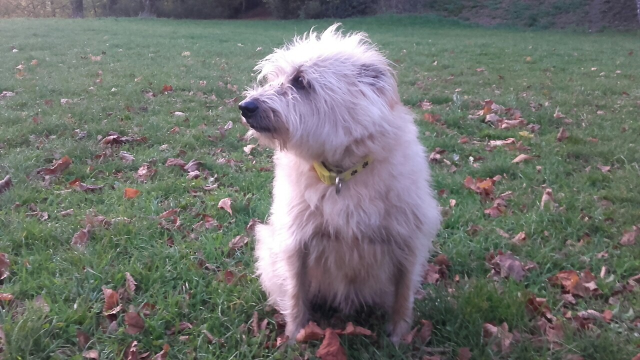 A9FD4A2B-2628-46EB-9714-2C6E26F24332