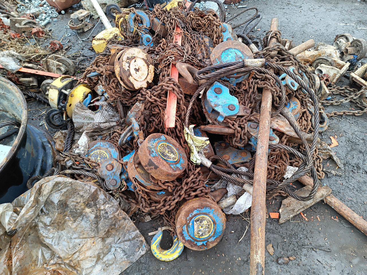 IMG 20251216 111725 427