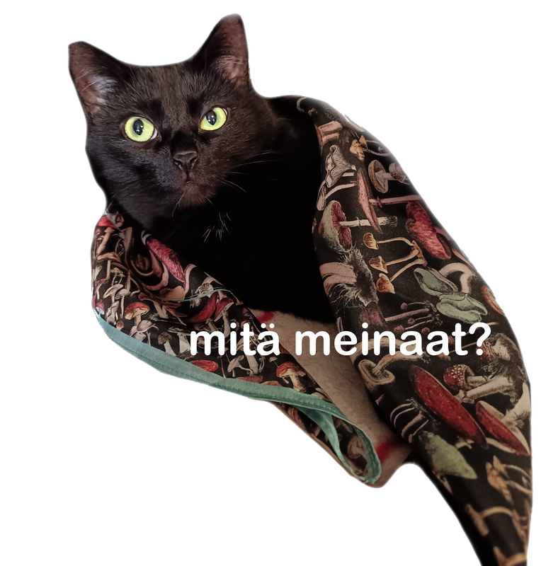 mitämeinaatpöllötti_teksti_png