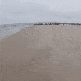 GIFs-30