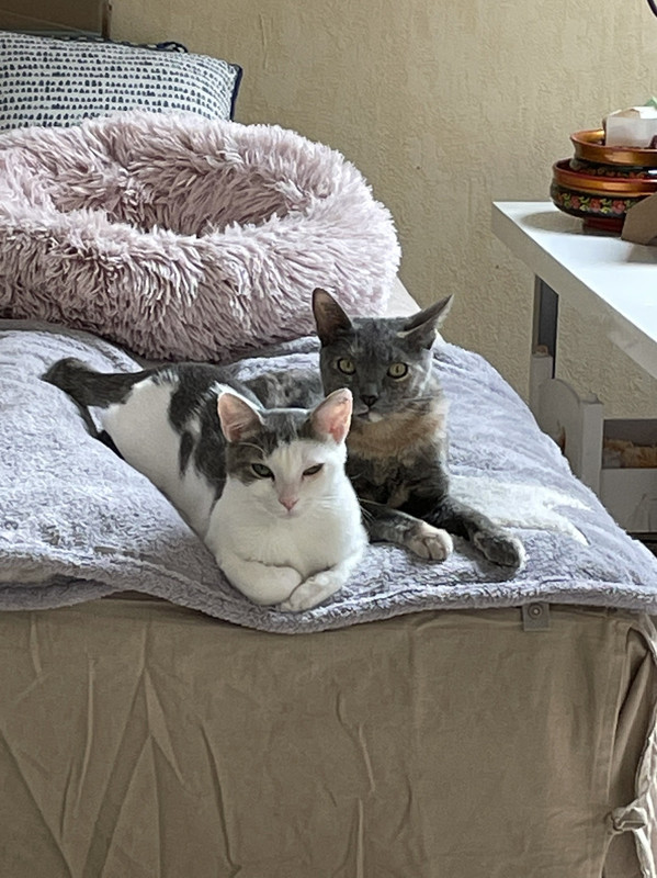 FF214B9C-035B-40EA-AFF1-10FA6A53C827