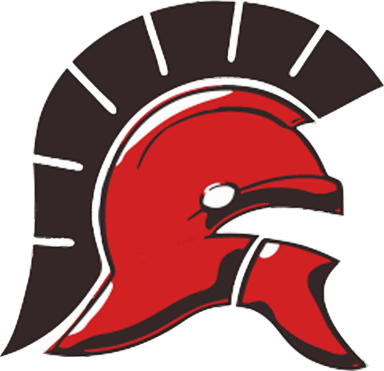 Paradise Valley logo