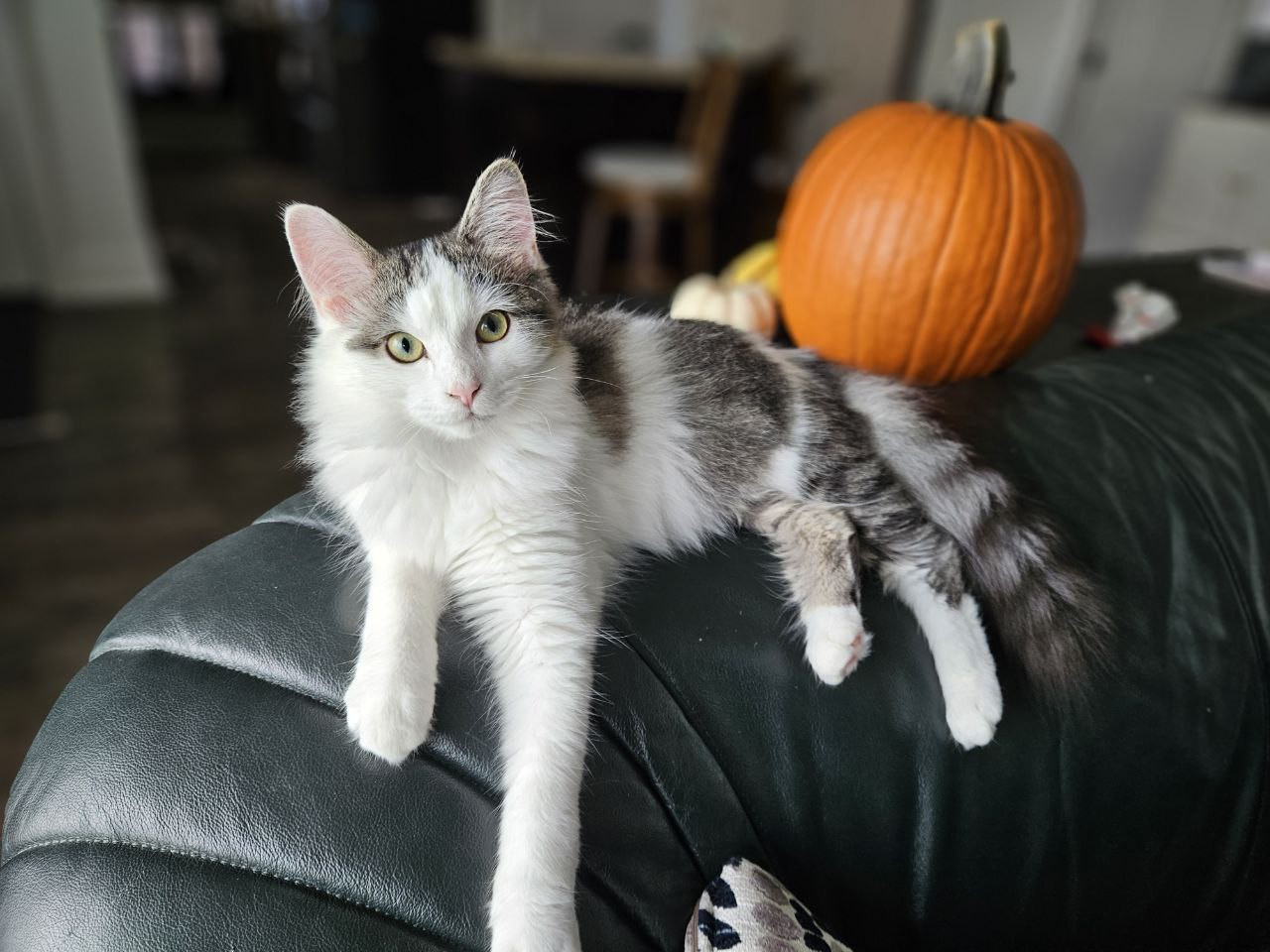 photo 2026 02 28 08 26 22 (2)