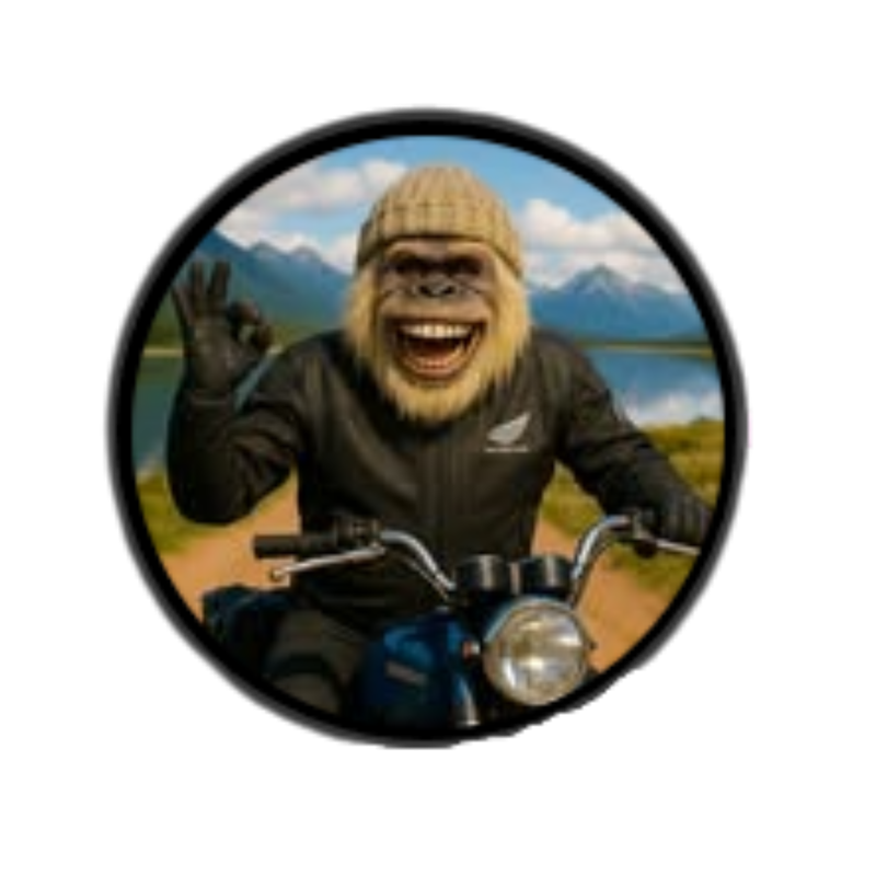 elyetienmoto.online favicon