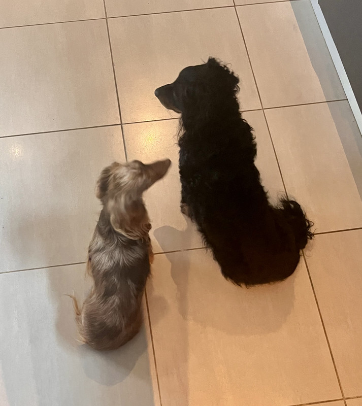 [Image: IMG-1164.jpg]