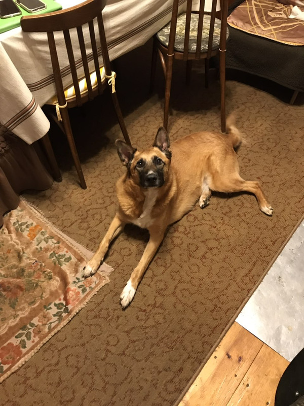 изображение_viber_2019-07-16_15-16-43