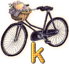 Bici Porta Flores  K