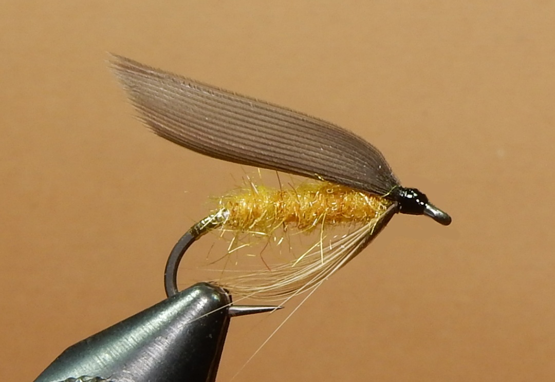 Grass-Hopper-1080.jpg