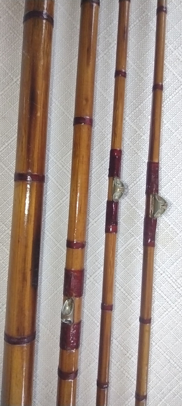 IMG_20220410_111354453