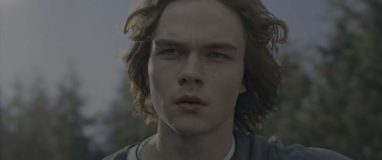 vlcsnap-2025-01-14-14h38m20s584