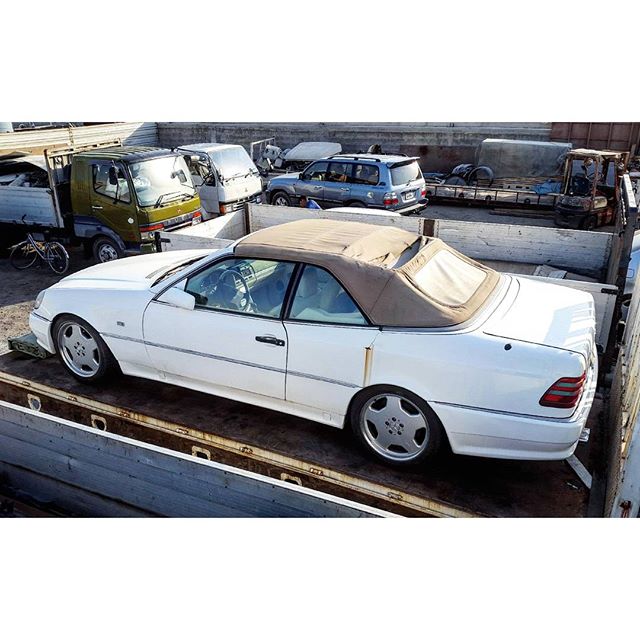 12093584_309492355841601_1235170784_n