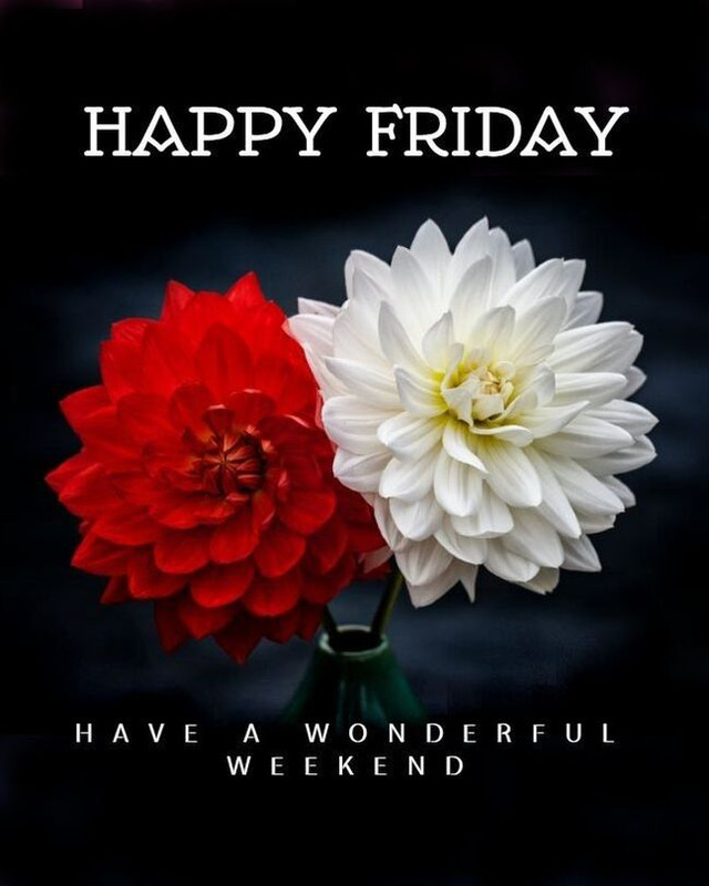 An den Beitrag angehängtes Bild: https://i.postimg.cc/5tT5dX2w/oie-3075330PPndtrhy.jpg