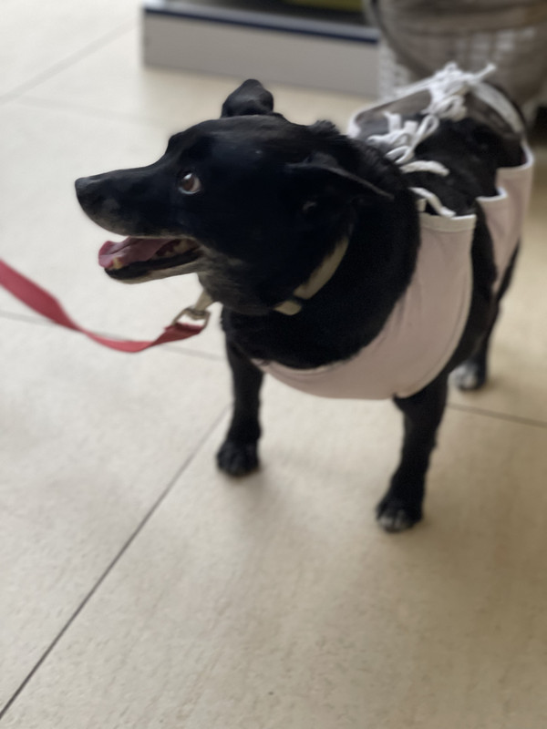 000616DA-F23F-46D9-8D0C-9B54B086A512