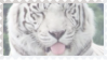 made by @transmascgarfield on tumblr