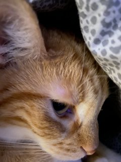 57CC773A-14DE-4CBA-89C1-44D5A161F0E8