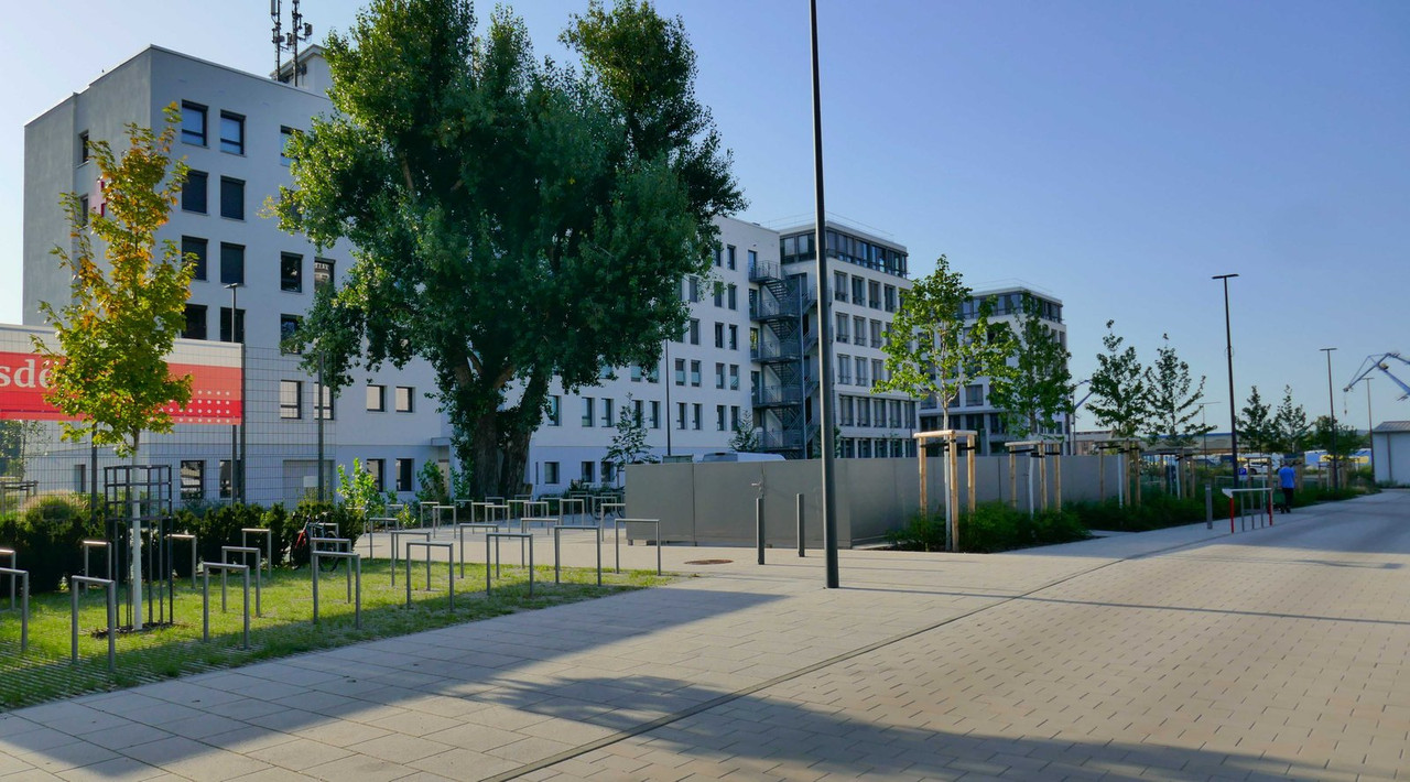 Bild: https://i.postimg.cc/5tTjKQVw/P1300092.jpg
