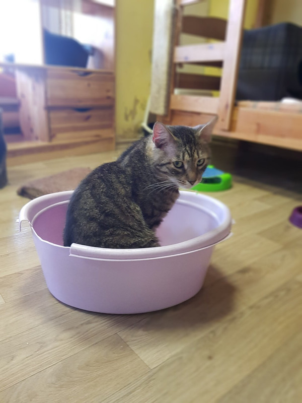 90113141-73EB-4E58-89A4-990FBD8DE8C3