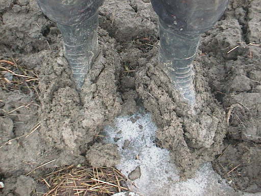 2016 keväänmiittin,pelto 006