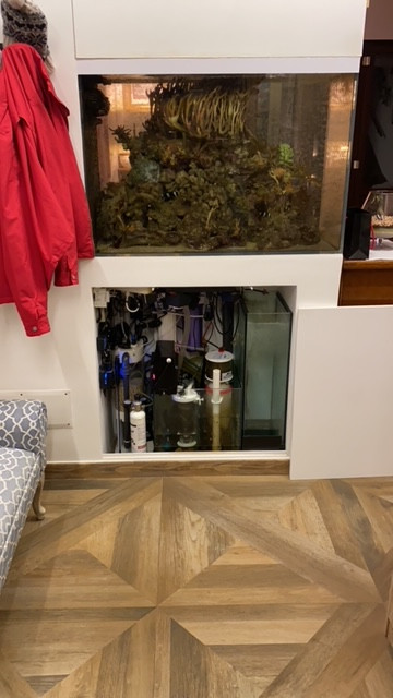 6A8D7D7D-5422-4A1A-9EED-28A7B34275A7