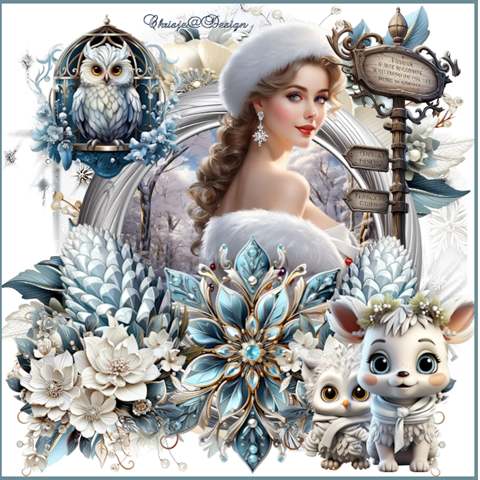 Image and video hosting by TiyPic