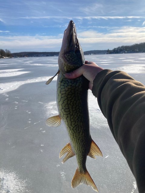 67CEA53E-77F6-434D-B28E-CB76D3D29499