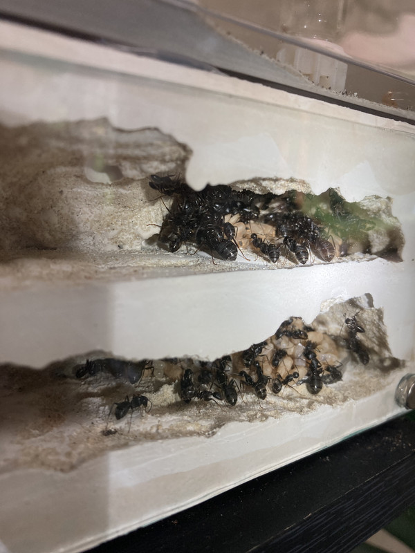 76E7F495-FC70-4E05-A367-A22C6EC7A440