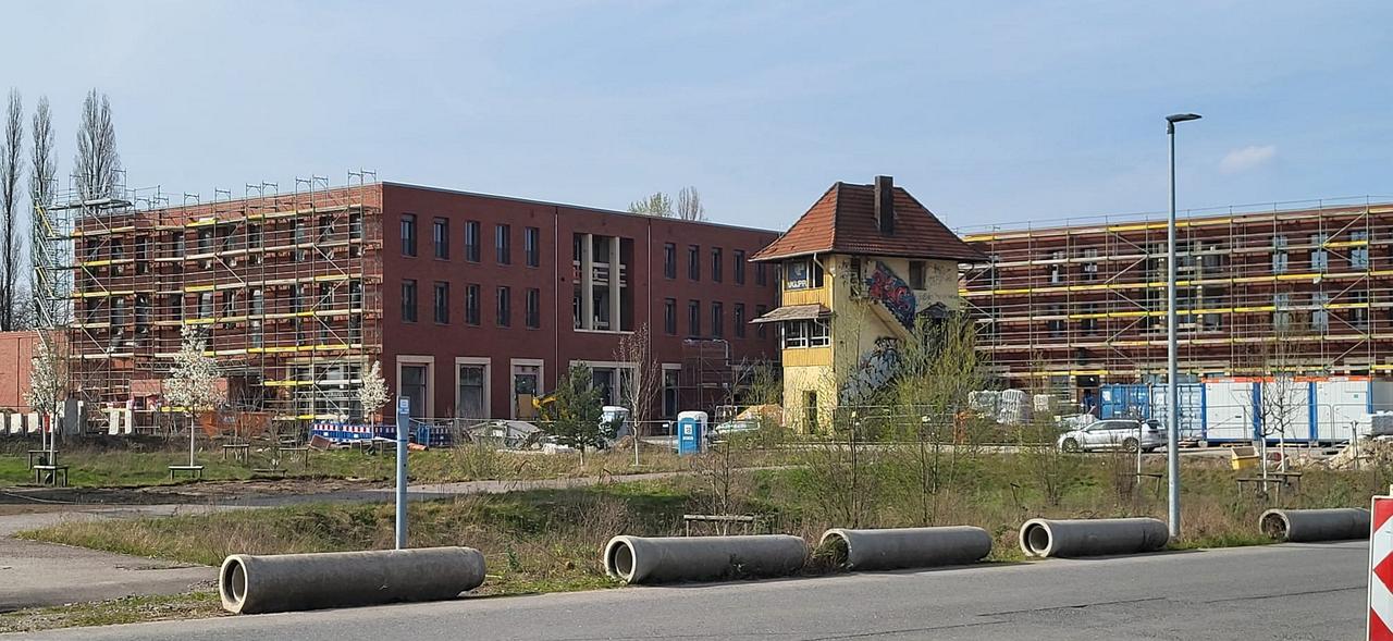 2026-03-20-12.jpg