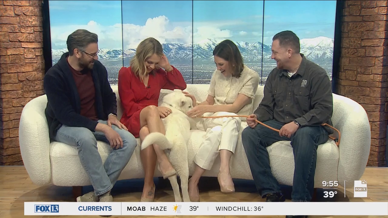 04.04 - 16.00.00 - FOX13 News  Good Day Utah 9AM  ᴺᵉʷ. Utah news, wea....ts_snapshot_00.56.54.959