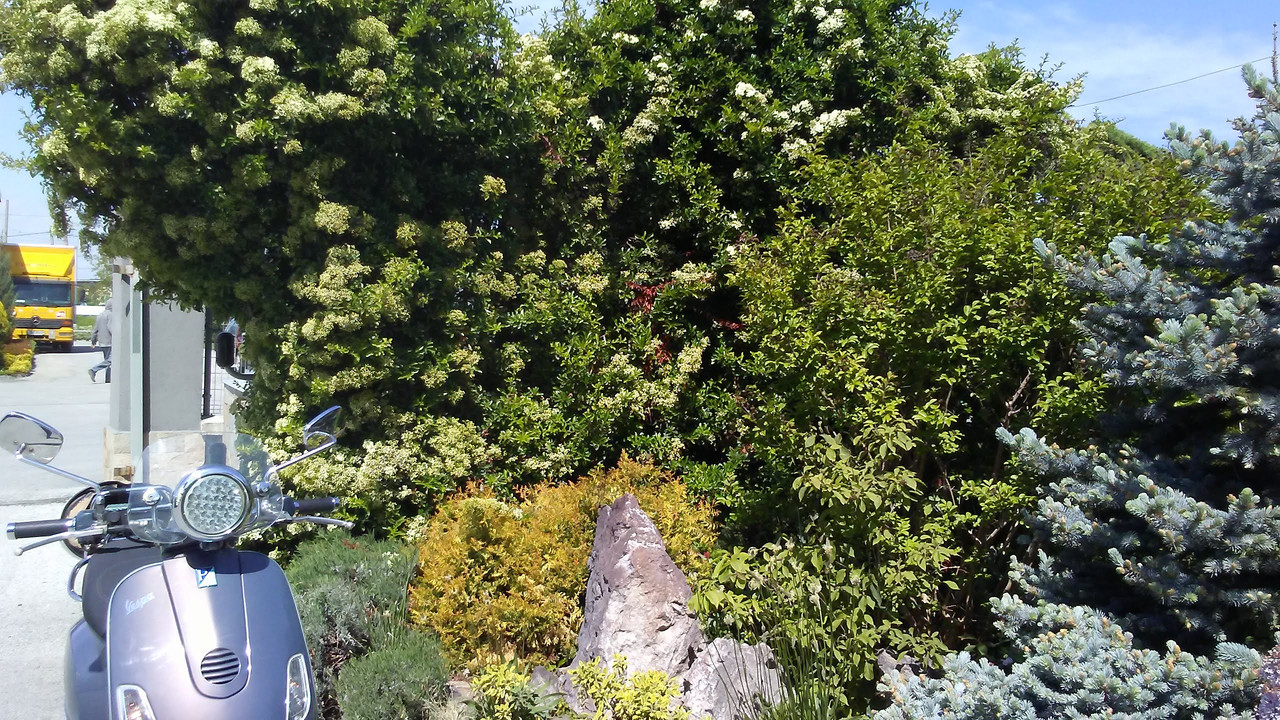 20190430_112904