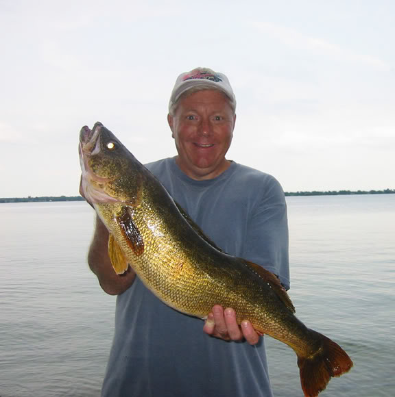 bigwalleye
