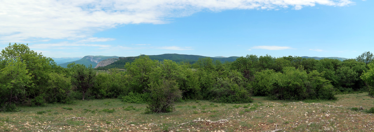 Панорама_без_названия1