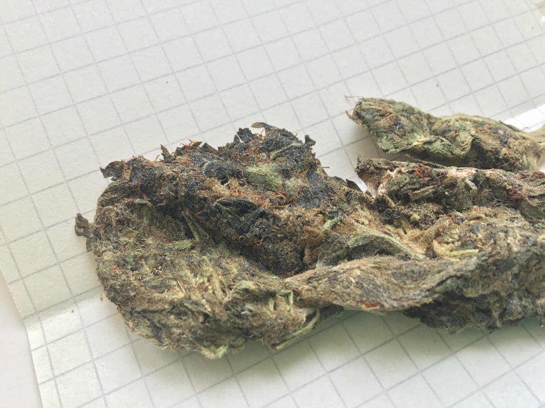 5AA77C9C-4F83-4578-838F-B90A8764E30A