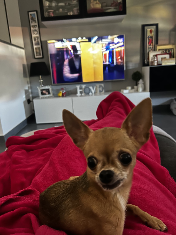 61AEB6BF-9D98-4BEC-8922-93A3740C936C