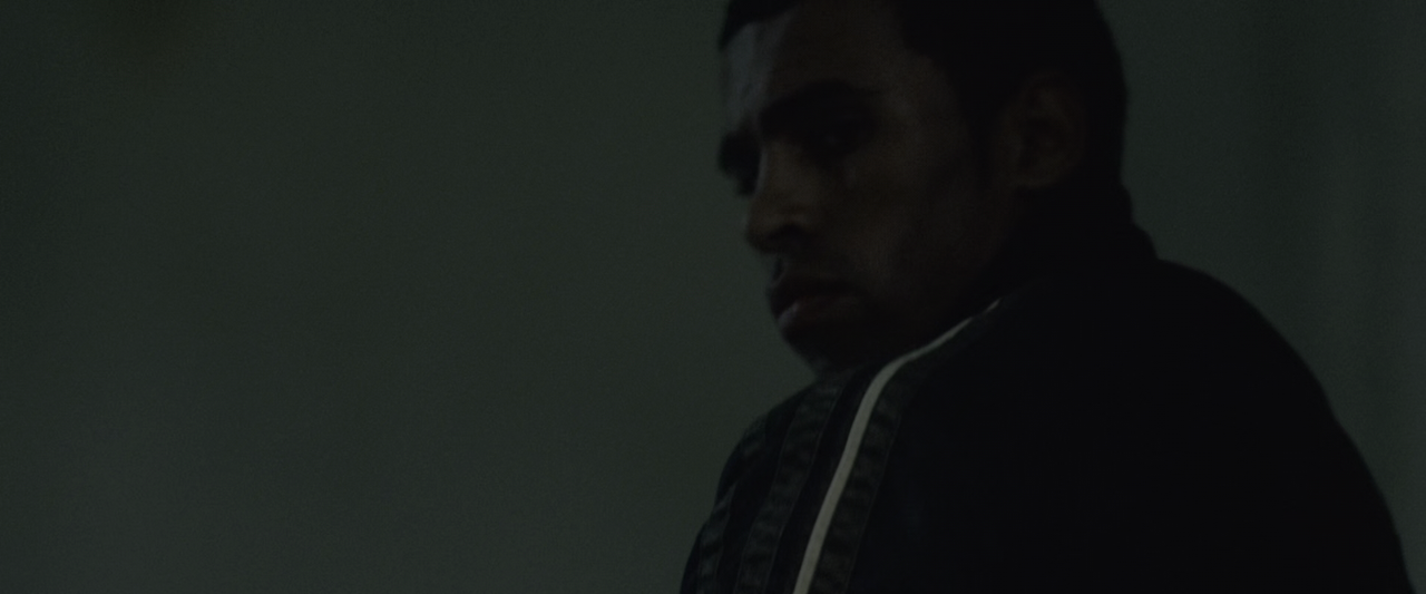 vlcsnap-2025-03-22-19h08m03s560