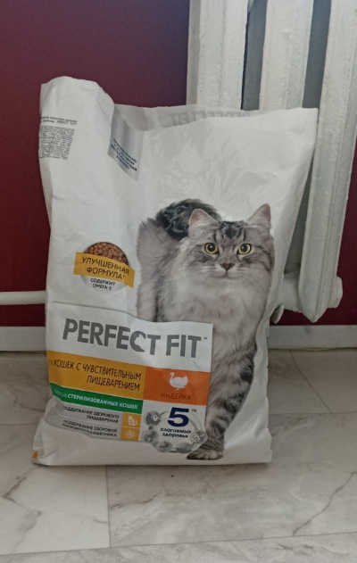 ������ ������ ��� ��������