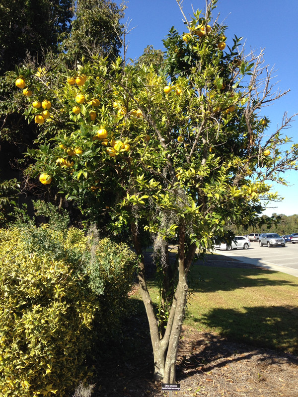 F39338DE-3C08-426C-95E4-7EF802E3B336