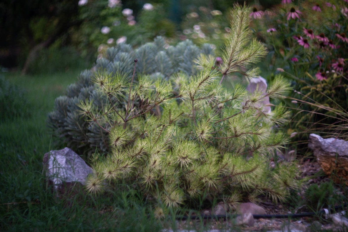IMG-3df7ed8cd16944006f13c8f2d7511499-V