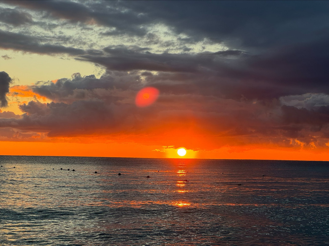 F55C4EF3-0600-42C9-99E7-258AF741EABA