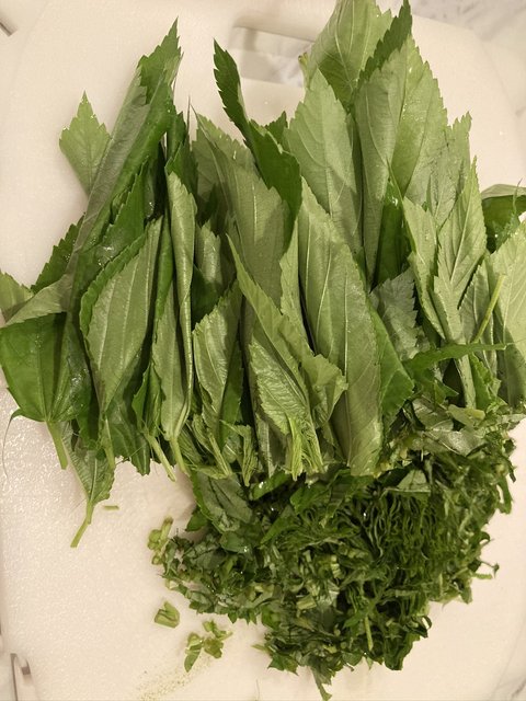 [Image: IMG-2237.jpg]
