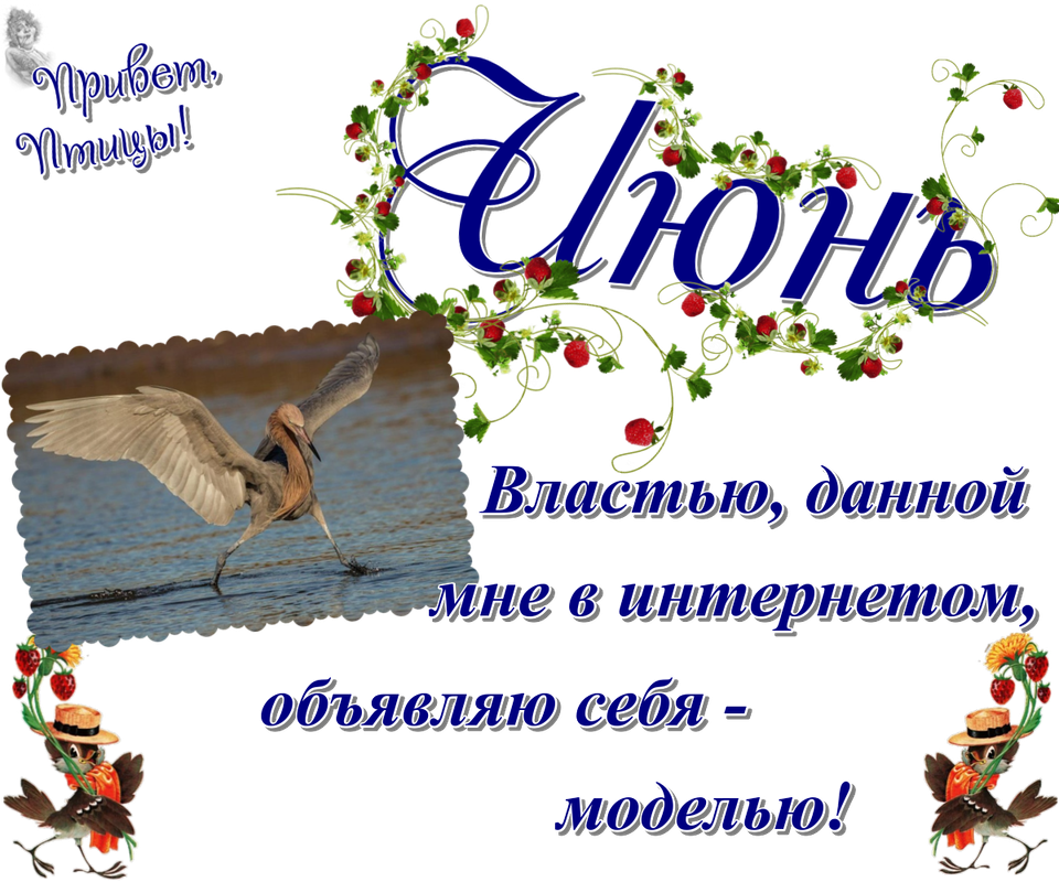https://i.postimg.cc/5tXgppDy/29-06.png
