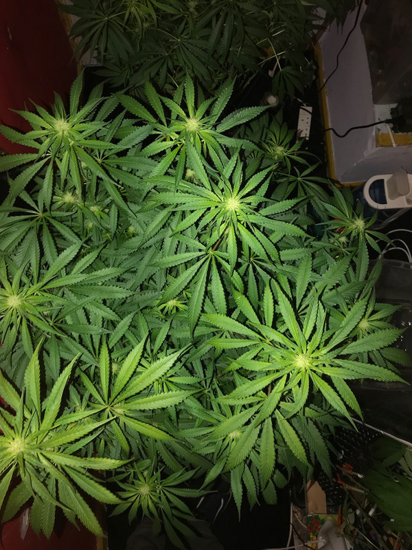 5B0945F0-8C9E-451C-9677-A92CB306D43A