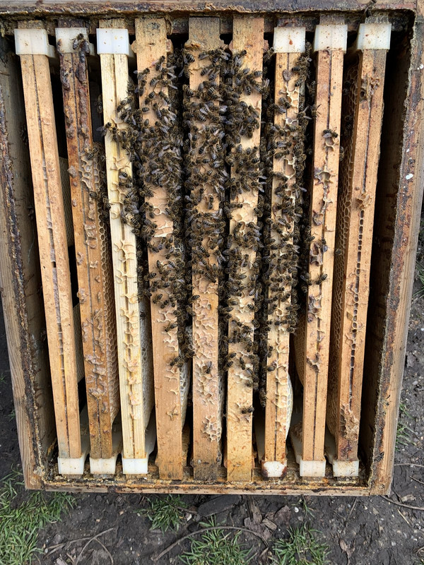 CAD27919-AC80-4801-806F-0A9B8FD87B22