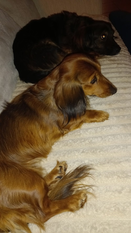 [Image: 20250215-203643.jpg]