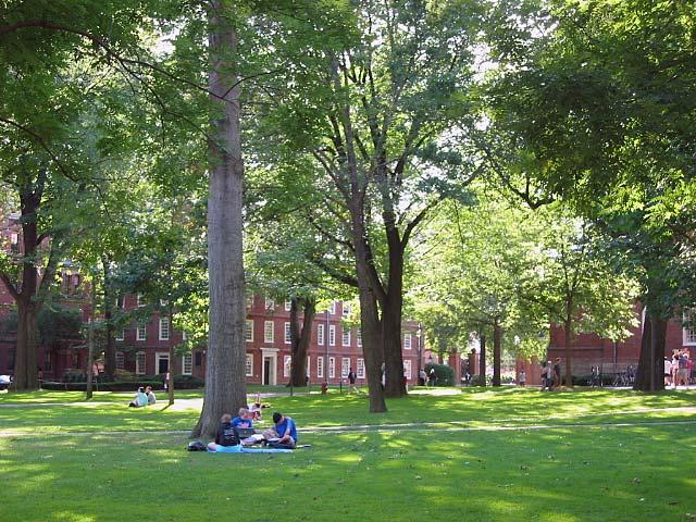 MBA Ivy League Harvard Yard