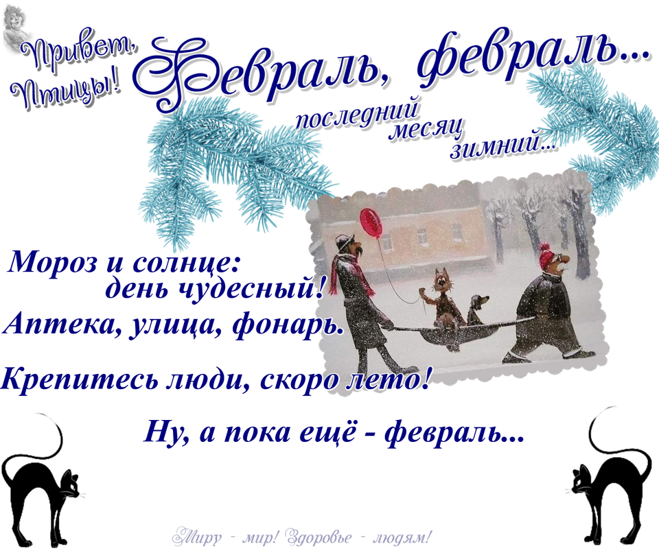https://i.postimg.cc/5tXyyVY3/15-02.png