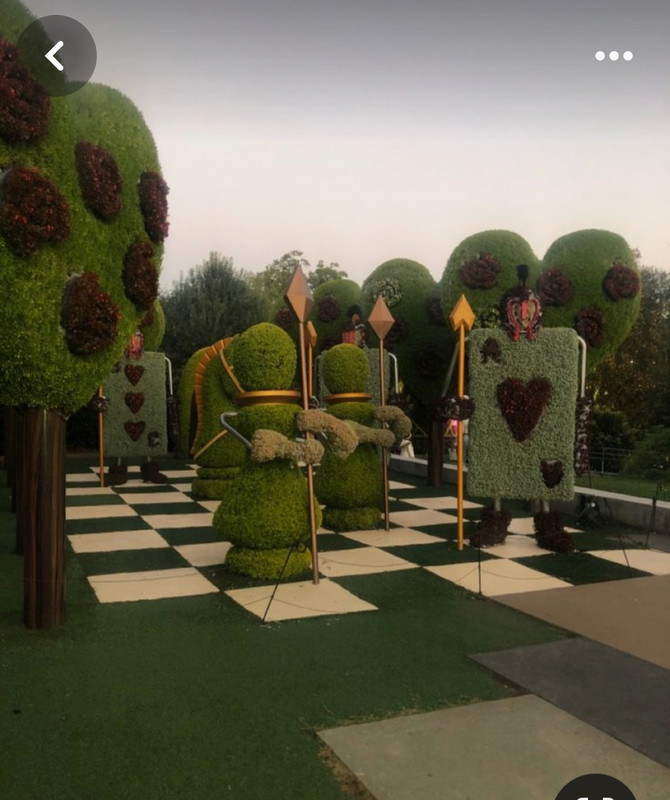 Screenshot_20240507_174239_Pinterest