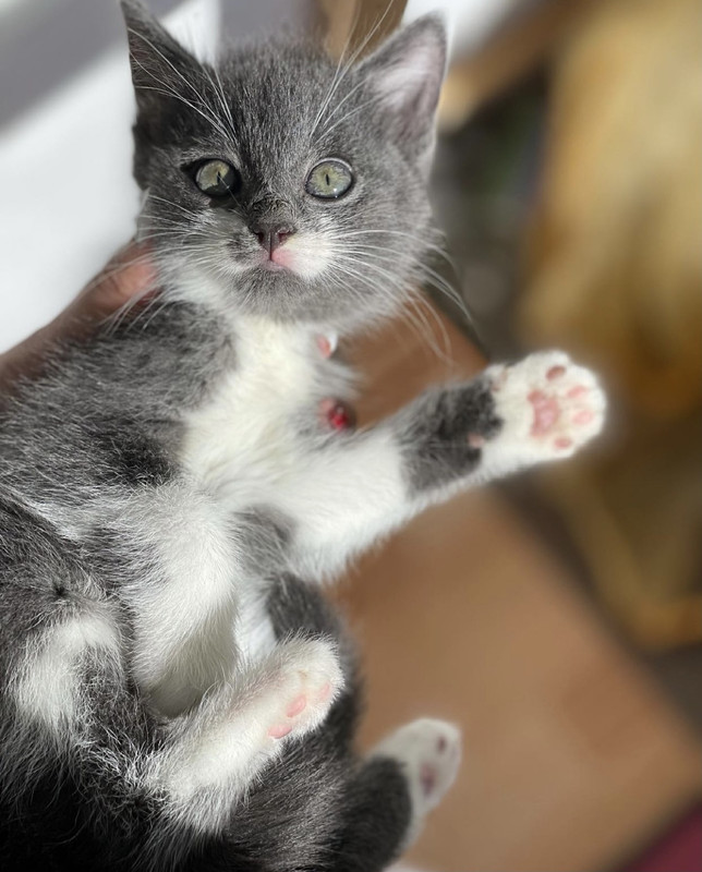 8028C5F6-2C8E-4F33-8D5D-5B82AD63C01A