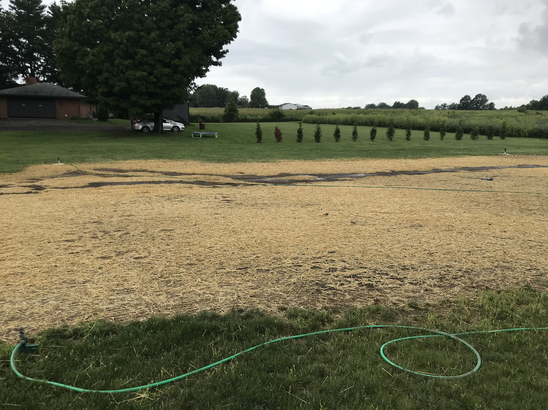 80F1F96F-782A-4C90-ADA2-6EFD1FEF6166