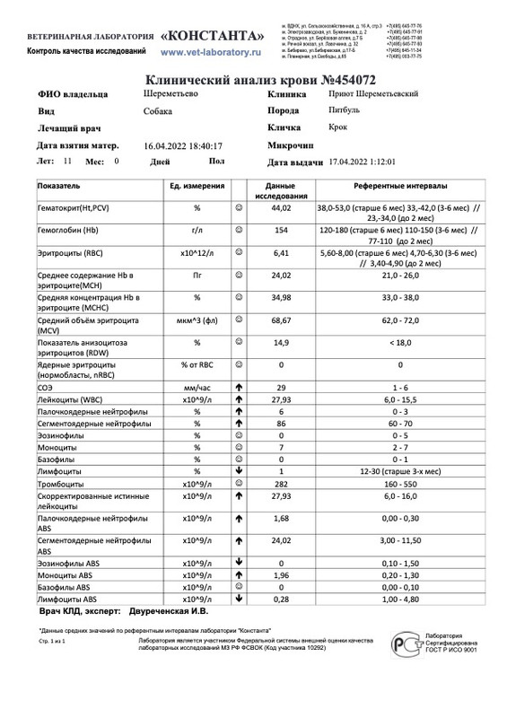 Клинический анализ крови (454072)